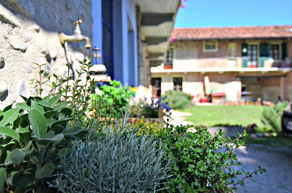 Cascina Il Convivio Diano dʼAlba Exterior foto