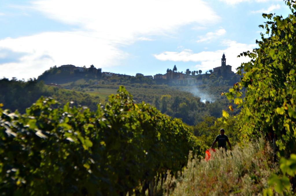 Cascina Il Convivio Diano dʼAlba Exterior foto